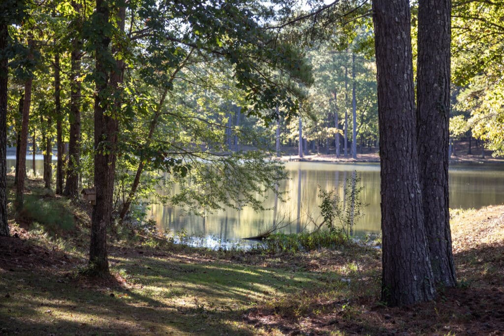 Magnolia Creek - pond on property