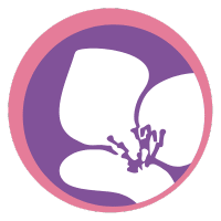 Magnolia Creek Favicon