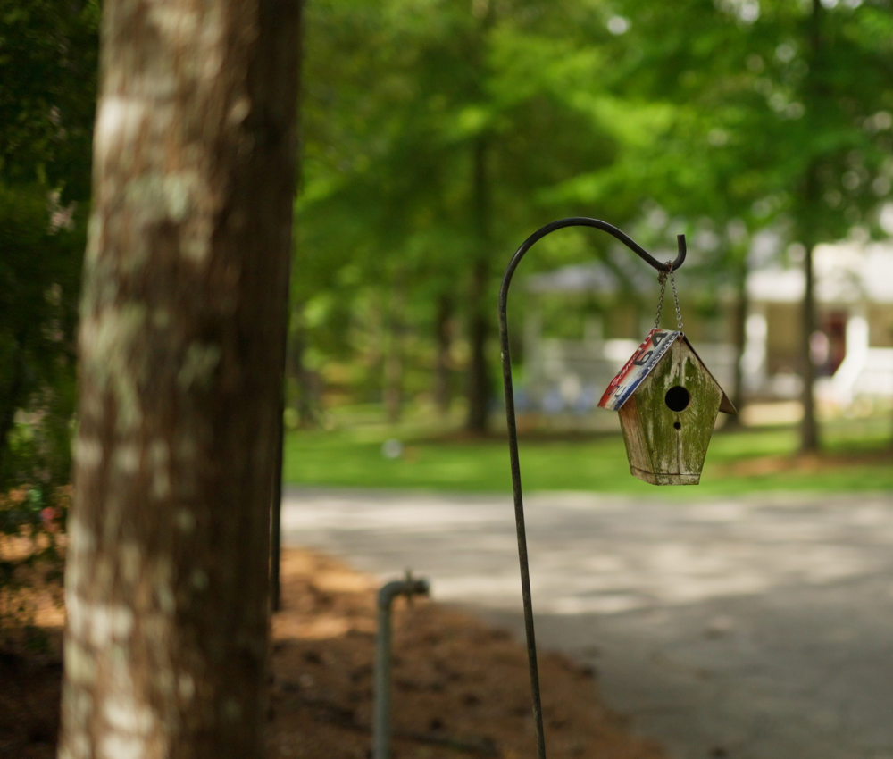 Bird house on the ground