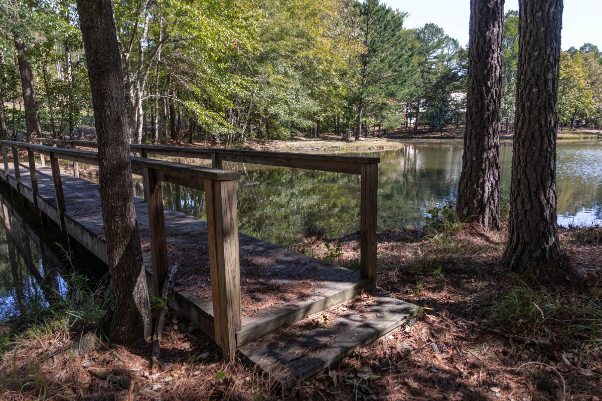 Campus Gallery - Magnolia Creek - Outdoor trail