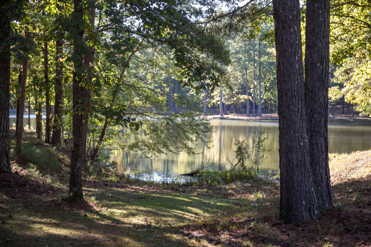 Campus Gallery - Magnolia Creek - lakefront area 3