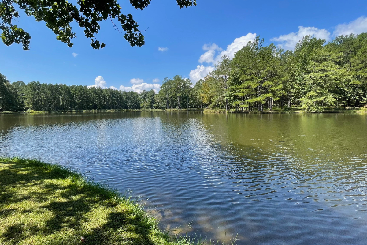 Campus Gallery - Magnolia Creek - lakefront area