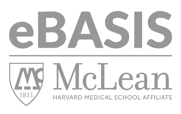 eBasis Logo - Grey (1)