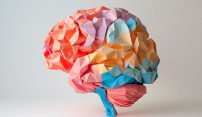 colorful illustration of the human brain